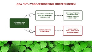 Жизнь вне зависимости_page-0010