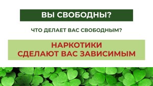 Жизнь вне зависимости_page-0011