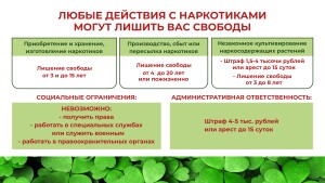 Жизнь вне зависимости_page-0013
