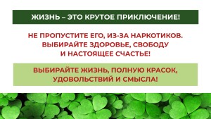 Жизнь вне зависимости_page-0014