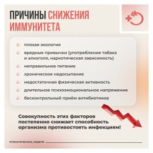 photo_2026-02-25_10-56-11